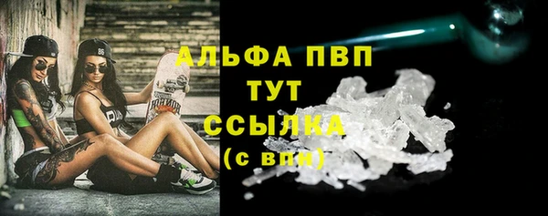 стаф Алексин