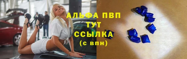 гашик Алзамай