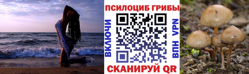 кракен как зайти  Обнинск  Галлюциногенные грибы Cubensis  цены  